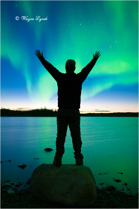 Aurora Borealis by Dr. Wayne Lynch &copy;